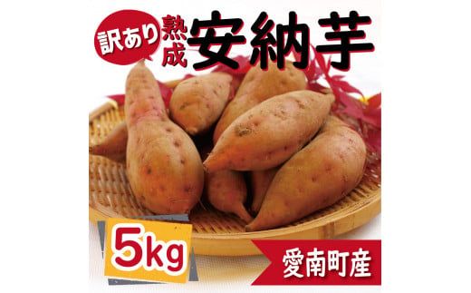 訳あり 熟成 安納芋 5kg サイズ混合 サツマイモ 焼き芋 干し芋 丸干し 冷凍焼き芋 冷やし焼き芋 やきいも 蜜芋 ほしいも スイートポテト フライドポテト いも天 サイズミックス  甘い ねっとり しっとり ほくほく 生芋 新芋 芋 いも 甘藷 あんのういも スイーツ おかず さつまいも 国産 人気 糖度 産地直送 農家直送 数量限定 7000円 愛媛県 愛南町 ミッチーのおみかん畑