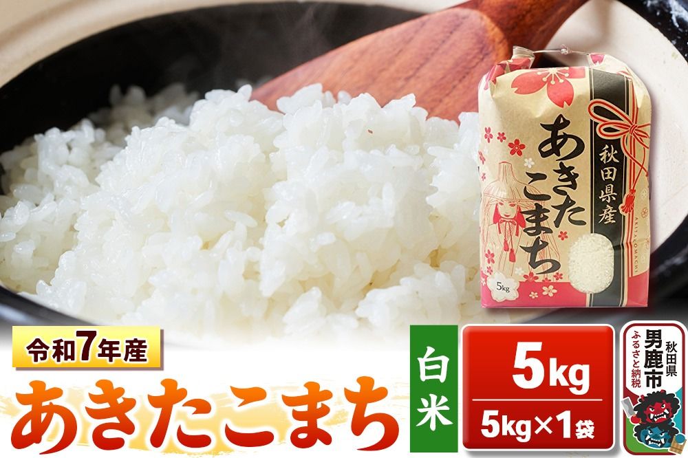 令和7年産[白米]秋田県産 あきたこまち 5kg 秋田県 男鹿市 こまちライン [あきたこまち 5kg]|23_kml-030501