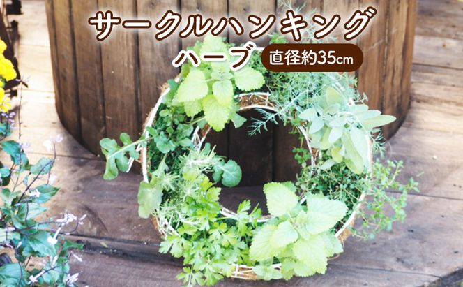 ハーブ サークルハンキング 直径35cm 植物 インテリア ガーデン 