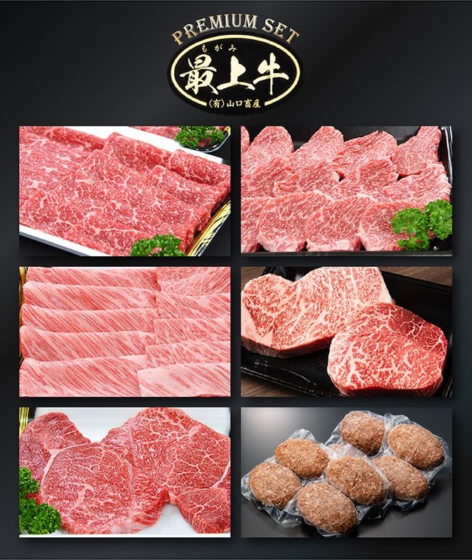 【冷凍】【1回配送で全11種】特選最上牛を一括でお届け