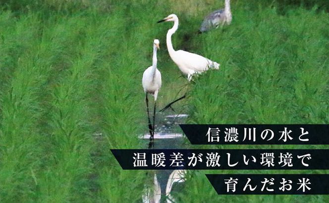 【定期便／3ヶ月】【無洗米】 ゆきまち米1kg　極上魚沼産コシヒカリ 米 こしひかり 無洗米 白米 ご飯 定期便 定期