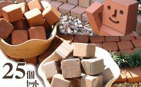 ラグブリック 25個セット H032-087