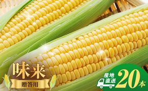 とうもろこし 味来 贈答用 20本 トウモロコシ 宮城県産 甘い 夏 朝採れ 産地直送 宮城県 大河原町