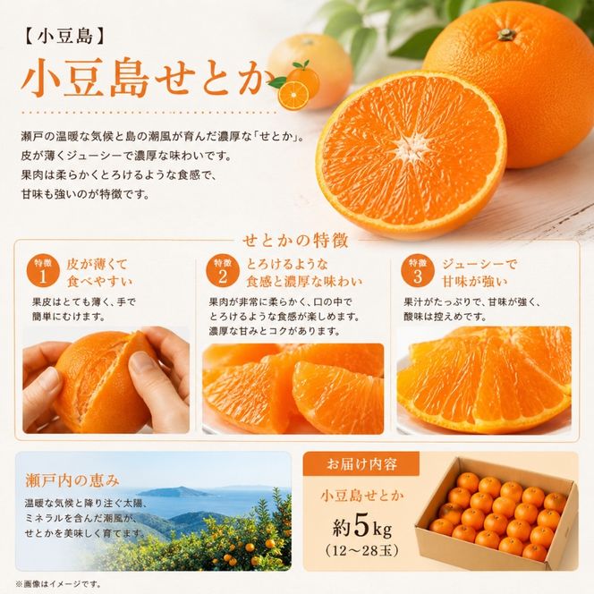 【 小豆島 】小豆島せとか 約5kg 柑橘 果物 せとか フルーツ ジューシー フレッシュ くだもの 国産 香川 香川県 土庄 土庄町