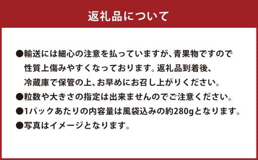 【2ヶ月定期便】エコファーマー あまおう （約280g×2パック）×2回 計約1120g【数量限定】【2026年2月上旬から3月下旬順次発送】 いちご 苺 イチゴ ベリー 果物 フルーツ お取り寄せ デザート おやつ