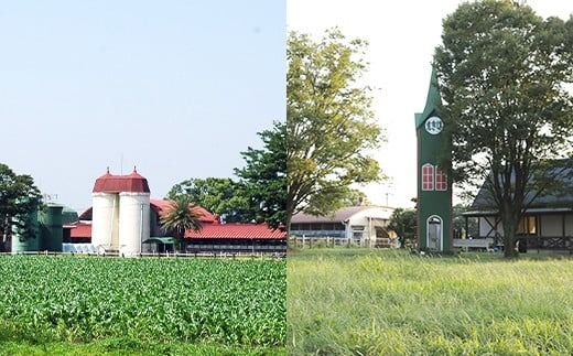 永利牧場の牛乳 500ml×12本セット