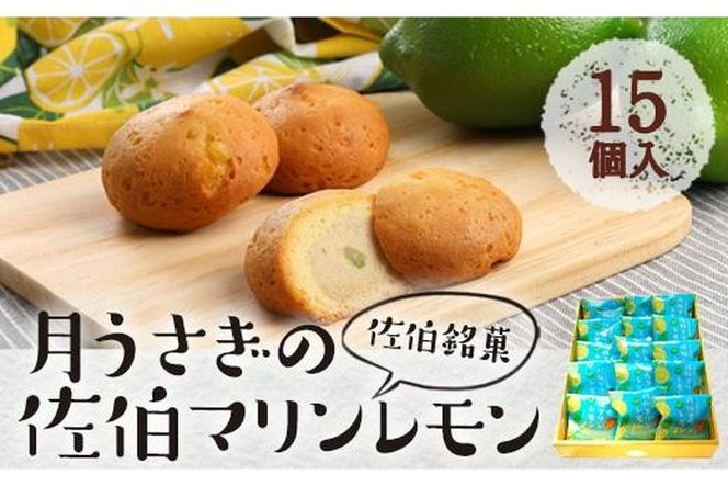 月うさぎの佐伯マリンレモン (計15個) レモン レモンケーキ スイーツ スウィーツ 菓子 焼き菓子 洋菓子 おやつ セット 個装 大分県 佐伯市【ER003】【(株)古川製菓】