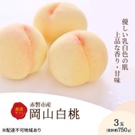 桃 2026年 先行予約 岡山白桃 3玉 約750g 化粧箱入り 岡山県 赤磐市産 果物 フルーツ 白桃 もも モモ