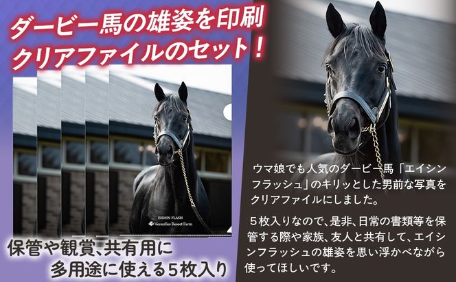 【エイシンフラッシュ】クリアファイル5枚入り BRTV033