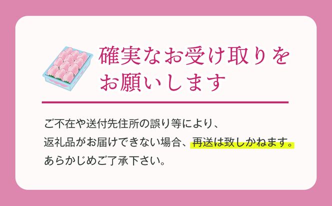 淡路島アイランドベリー　紅白いちご　淡雪/とちおとめ【2026年4月発送予約受付・お届け日指定不可】　[いちご]