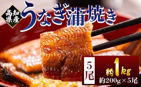 高知県産蒲焼きうなぎ ２００ｇ ５尾 計１０００ｇ fb-0162