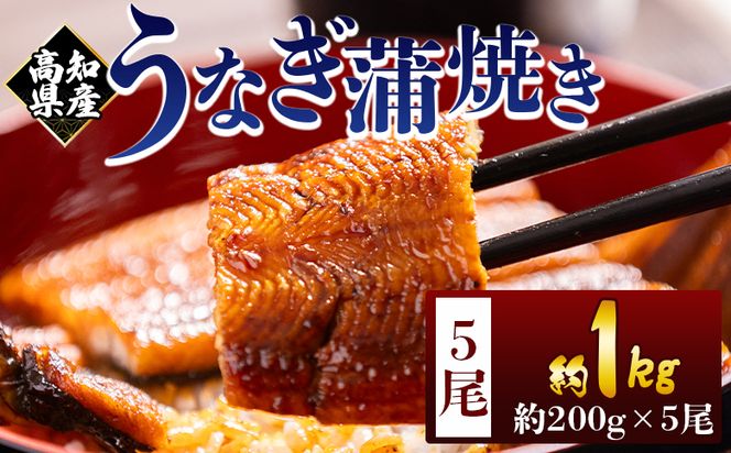 高知県産蒲焼きうなぎ ２００ｇ ５尾 計１０００ｇ fb-0162