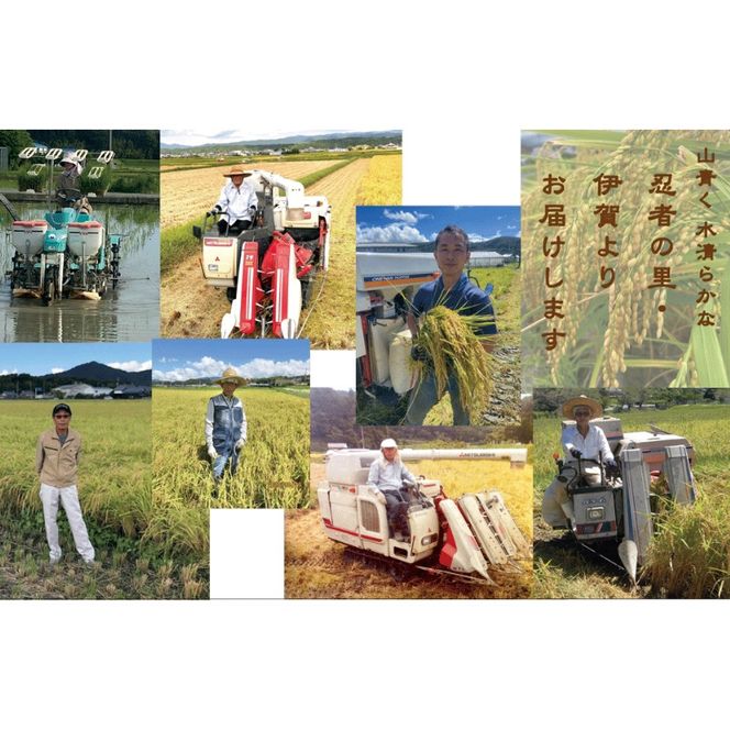 伊賀米コシヒカリ特別栽培米「真米」白米5kg【ymnk0001】