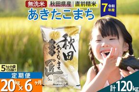 【無洗米】＜令和7年産＞《定期便6ヶ月》秋田県産 あきたこまち 匠 20kg (5kg×4袋) ×6回 20キロ お米 |02_snk-030806s