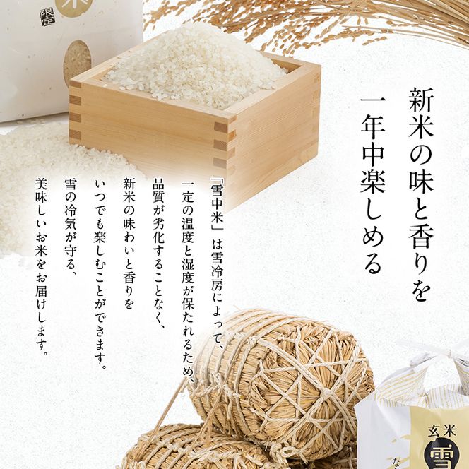 令和8年産 【定期便3ヶ月】 特Aランク米 ゆめぴりか 玄米 10kg（5kg×2袋）【10月発送】雪冷気 籾貯蔵 雪中米 北海道 nr-1966
