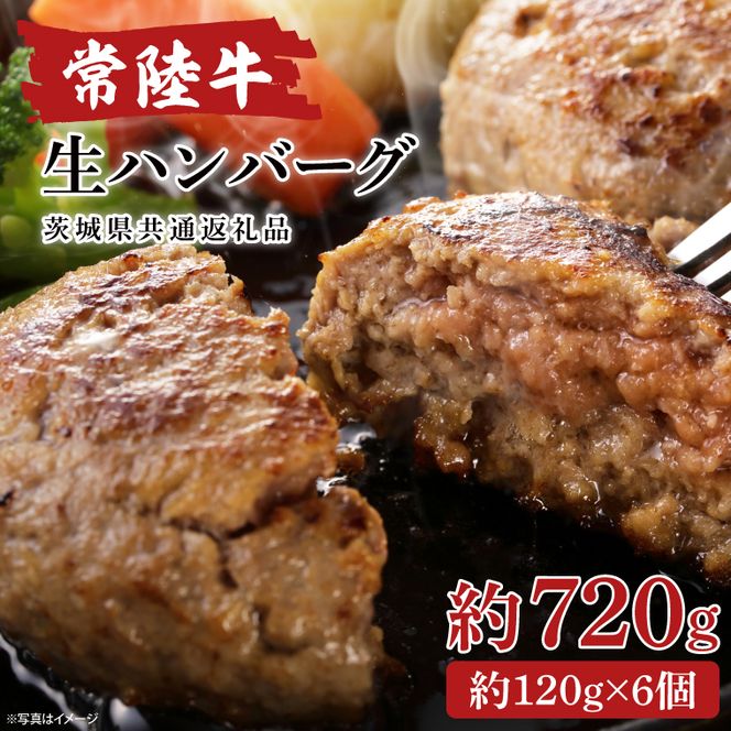 【茨城県共通返礼品】常陸牛生ハンバーグ　120g×6【牛肉100％ 和牛 真空パック 小分け 冷凍保存 ギフト お取り寄せ 無添加 北茨城市 茨城県】(AA216)