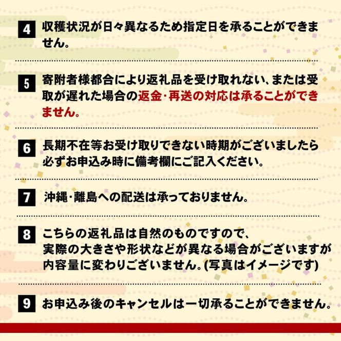 さんま 大型10尾 冷蔵 鮮秋刀魚 期間限定 [発送:2026年9月～2026年11月下旬頃] 三陸 岩手 大船渡市 [kama016]