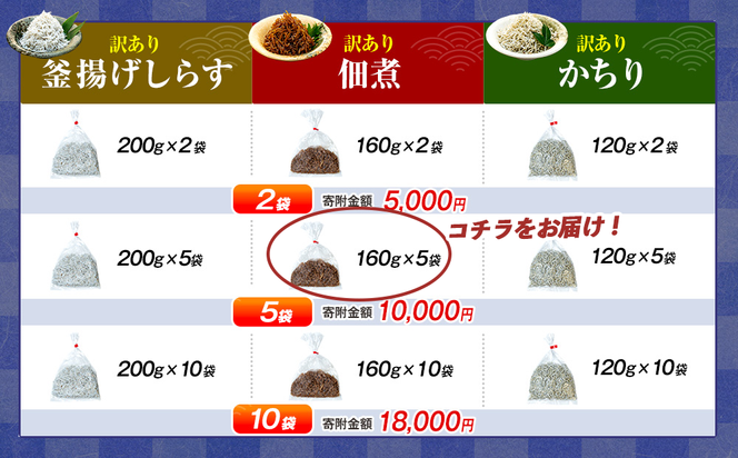 訳あり 釜揚げ しらす 佃煮 800g(160g×5袋) 小分け 減塩 無添加 無着色 冷凍 愛知県 南知多町 ご飯 ごはん 丼 料理 国産 カネ成 シラス 人気 おすすめ シラス しらす しらすごはん shirasu sirasu SIRASU 人気シラス