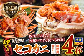 訳あり 浜茹で セコガニ 香住産 大サイズ 4杯入り 冷蔵【令和8年11月中旬以降発送予定】香住 濃厚 ミソ やみつき 内子 外子 絶品 訳あり 指落ち 大人気  濃厚 香美町 柴山 山陰 日本海 国産 カニ ズワイガニ 松葉ガニ せいこがに メスガニ  爪 ほぐし ボイル 脚 鮮度抜群 茹で ボイル 蟹 かに カニ お取り寄せ ごちそう グルメ 贅沢 ご褒美  返礼品 丸近 19-10
