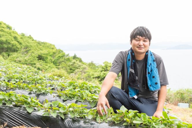 【20セット限定】新品種あまはづき　生芋（2kg）