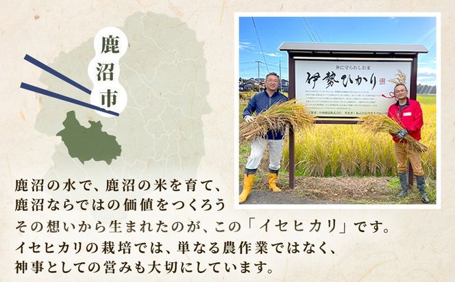 令和7年度産 伊勢ひかり 精米4kg | 白米 栃木 鹿沼市直送
