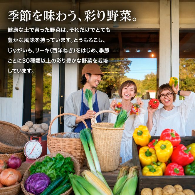 小笠原農園の有機とうもろこし「ミルキースイーツ」10本【北海道十勝幕別】《2026年8月出荷開始先行予約》【 スイートコーン コーン とうもろこし とうきび 黄色 野菜 夏 北海道 幕別町 】 