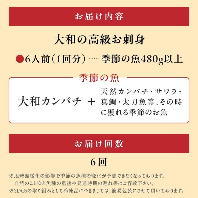 【6ヶ月定期便】大和海商 大和の高級お刺身　6人前　N072-F057_2