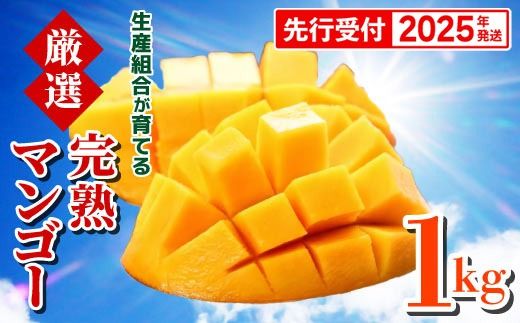 【先行受付】【2025年発送】生産組合が育てる厳選・完熟マンゴー約1kg