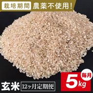 【2026年9月中旬発送開始】【12ヶ月定期便】★栽培期間農薬不使用★茨城県産 R８年産 こしひかり玄米 5kg｜茨城県 行方市 ふるさと納税 お米 米 定期便 こしひかり 玄米 無農薬（BI-104）