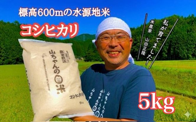 486. 農家直送「山ちゃんのお米」コシヒカリ5kg