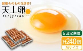 【 全6回 定期便 】 こだわり の 卵 「 天上卵 」 40個 セット 《糸島》【株式会社おおはまファーム】[AKH007]【 全6回 定期便 】 こだわり の 卵 「 天上卵 」 40個 セット 《糸島》【株式会社おおはまファーム】[AKH007]