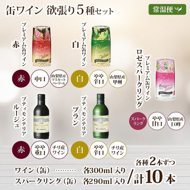 缶ワイン 欲張り 5種 飲み比べ セット 各2本 計10本 飲み比べ モンデ酒造 赤 ロゼ 白 ブラン 酒 お酒 贈答 ギフト 晩酌 宅飲み 家飲み キャンプ BBQ バーベキュー パーティー アウトドア 送料無料 山梨県 笛吹市  177-4-174