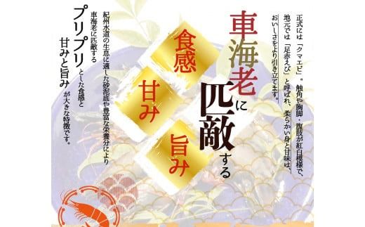 紀州和歌山産天然足赤えび540g（270g×2パック）化粧箱入 ※2026年12月上旬～2027年2月上旬頃順次発送予定（お届け日指定不可）（お届け日指定不可）／海老 エビ えび クマエビ 足赤 天然 おかず【uot772C】