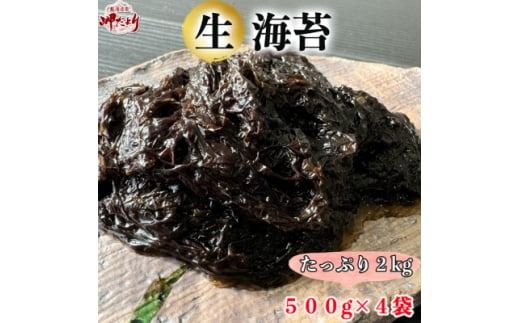 岬だよりの生海苔(冷凍)500g×4袋(2kg)