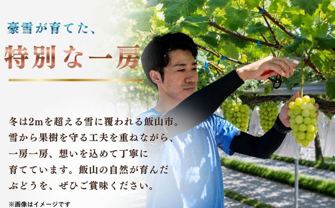 【先行予約】贈答用 シャインマスカット 2房（約1kg以上）(Bv-002)