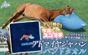 【TVで紹介！】【アドマイヤジャパン×Yogibo】ハンドタオル BRTV041
