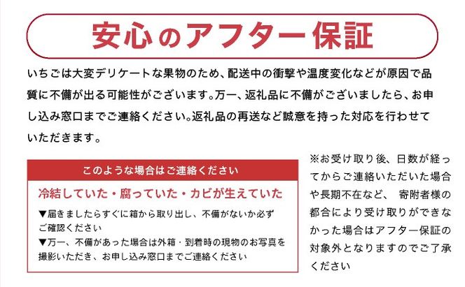 【先行予約】数量限定 いちごさん＆さがほのか食べ比べセット ★贈り物にも最適★