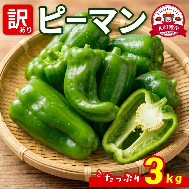 訳ありピーマン3kg [7-9月発送] 規格外 ピーマン 野菜 やさい 赤 緑 完熟 ぴーまん 食品 旨味 ミネラル 栄養 自宅用 お試し ごはん 夕飯 おかず サラダ 被災 震災 火災 支援 大船渡 三陸 岩手県 国産