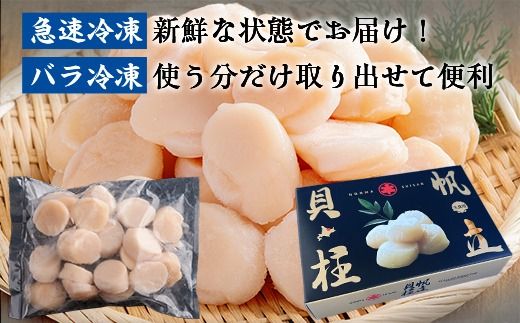 北海道オホーツク海産 大玉帆立貝柱 500g SRMR001