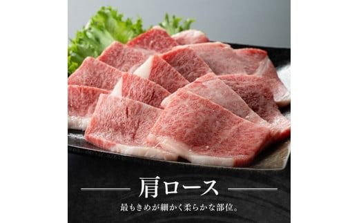 ※発送時期が選べる※宮崎牛赤身(ウデorモモ)霜降り焼肉2種400g 【 肉 牛肉 国産 宮崎県産 黒毛和牛 和牛 焼肉 やきにく BBQ 4等級  A4ランク うで モモ 肩ロース ロース 】[D11123]