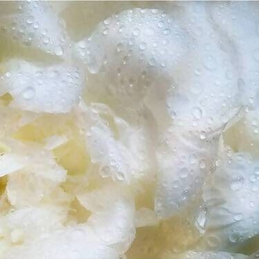 ヘレナ ルビンスタイン プロディジー CELグロウ デューイ エッセンス ローション 200ml ｜ ロレアル スキンケア 化粧品