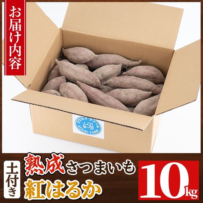 a845 《種類・内容量が選べる》鹿児島県産さつまいも土付き5～10kg(シルクスイート・紅はるか)【コウエイ環境】姶良市 鹿児島県産 さつまいも サツマイモ 熟成芋 さつま芋 シルクスイート 紅はるか 5kg 10kg 生芋