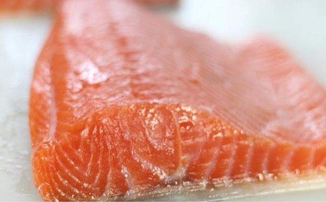 スモークサーモン 極上燻鮭 ブロック 大 アトランティックサーモン 燻製 サーモン 魚介  海鮮 加工品 加工食品 おつまみ つまみ  香川 香川県 東かがわ市