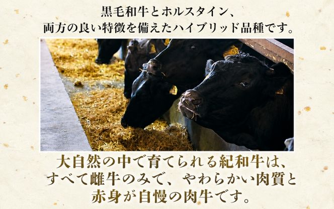 紀和牛すき焼き用赤身300g【冷蔵】 / 牛  肉 牛肉 紀和牛   赤身 すきやき【tnk302-1】