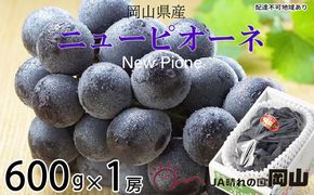 ぶどう 2026年 先行予約 ニュー ピオーネ 約600g×1房 ブドウ 葡萄  岡山県産 国産 フルーツ 果物 ギフト 果物類 
