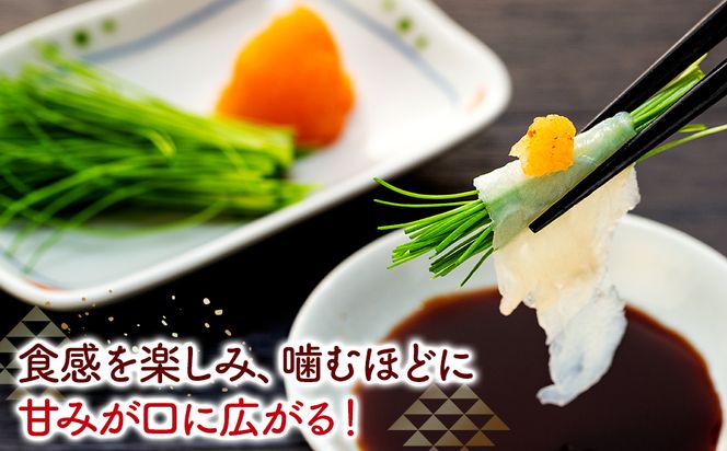 10～3月発送 とらふぐ 刺し てっさ 2人用 1パック 冷凍 皮刺し もみじポン酢付き 老舗旅館