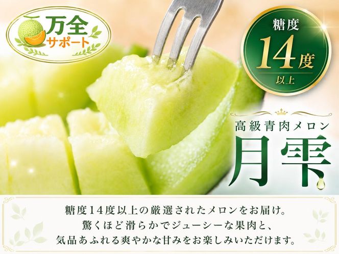 〈先行受付〉【2027年夏発送】北海道 赤肉メロン 北の女王 青肉メロン 月雫 秀品 約1.6kg 各1玉 令和9年 メロン 果物 フルーツ 旬 希少 甘い 豊潤 国産 産地直送 ギフト お祝い 贈答品 贈り物 お中元 お取り寄せ 送料無料 