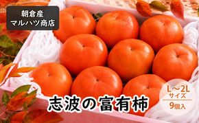柿 志波の富有柿 L～2Lサイズ×9個入 マルハツ商店 果物類 かき 