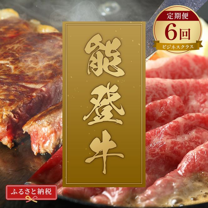 肉【定期便全6回】【和牛セレブ】能登牛 定期便「ビジネスクラス」特選 しゃぶしゃぶ すき焼き 焼肉 ステーキ ギフト 石川県 能美市 172111_DB045