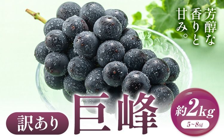 訳あり 巨峰 約2kg (5〜8房) 阿部ぶどう園 [8月中旬-9月末頃出荷予定]茨城県産 結城市 果物 ぶどう フルーツ 産地直送[配送不可地域あり](離島)---yuki_abb_5_1500g---